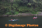 Whanganui 
                  
 
 
 
 
  
  
  
  
  
  
  
  
  
  
  
  
  
  River  6597
